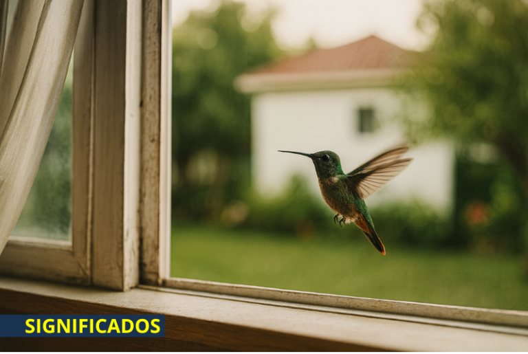 O Significado do BEIJA-FLOR Visitar sua Casa ou Aparecer em um Sonho – A Melhor Explicação!